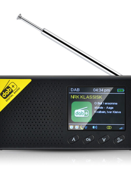 Digital DAB & FM Radio with BT Portable Digital Radio Rechargeable Wireless DAB+FM Receiver with Stereo Speaker Sound System