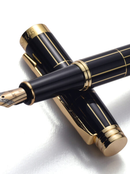 STONEGO Deluxe Metal Fountain Pen without Ink Refill Convertible Calligraphy Pen for Writing and Drawing