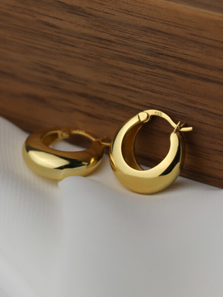 ANENJERY Geometric Chunky Hoop Earrings for Women Punk Ear Jewelry Wholesale