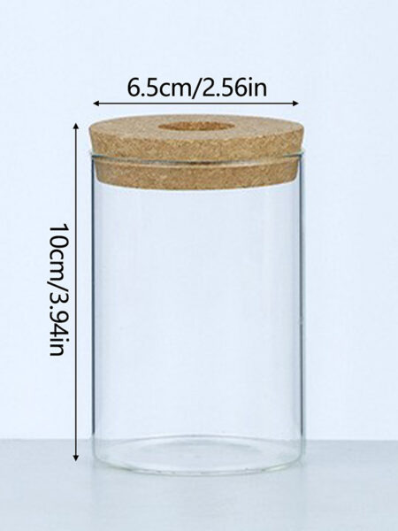 Mini Hydroponic Flower Pot Transparent Terrarium Glass Soilless Green Plant Vase Garden Living Room Home Tabletop Decorations